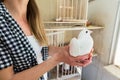 Dove on hand in pigeon loft