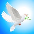 Dove holding leaf Royalty Free Stock Photo