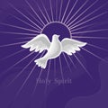 Dove Holy Spirit with halo vector illustration Royalty Free Stock Photo