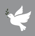 Dove icon