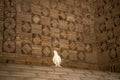 The dove at Ismail Samani Mausoleum or Samanid Mausoleum