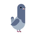 Dove isolated. pigeon cartoon. City bird vector illustration