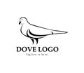 Dove, logo vector template image, trendy, simple, attractive Royalty Free Stock Photo