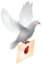 Dove mail, Flying pigeon Royalty Free Stock Photo