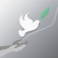 Dove with olive branch
