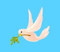 Dove with an olive branch in its beak flying in sky on blue background. White pigeon isolated. Symbol of peace for international Royalty Free Stock Photo
