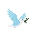 Dove with olive branch.Symbol of peace. Bird, dove holds a branch of a plant on a white background. Royalty Free Stock Photo
