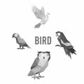 DOVE OWL PARROT BIRD ANIMAL PET GRAYSCLAE LOW POLY LOGO ICON SYMBOL Royalty Free Stock Photo