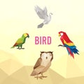 DOVE OWL PARROT BIRD ANIMAL PET LOW POLY LOGO ICON SYMBOL