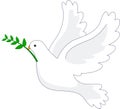 Dove peace Royalty Free Stock Photo