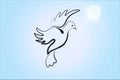 Dove of peace bird flying on the sky