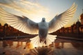 Dove of peace carries hope on sunlit wings with gentle grace