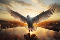 Dove of peace carries hope on sunlit wings with gentle grace