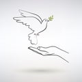 Dove of Peace Flies to the Open Palm