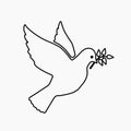 Dove of peace flying with a green twig olive