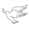 Dove of peace flying with olive twig in beak, outline of pigeon, symbol of good tidings Royalty Free Stock Photo