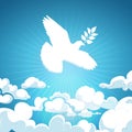 Dove of peace flying in the sky. White pigeon with branch background concept