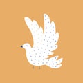 Dove of peace hand drawn vector illustration. Symbol of freedom, love and hope. Cute white bird in flat style. Royalty Free Stock Photo