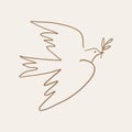 Dove of peace pigeon bird boho handdrawn style vector illustration art