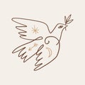 Dove of peace pigeon bird boho handdrawn style vector illustration art