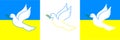 Dove of peace. Dove of peace on the background of the flag of Ukraine. Flat vector illustration. Royalty Free Stock Photo