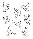 Dove Peace Vector Design Illustration