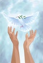 Dove of peace Royalty Free Stock Photo