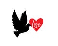 Dove silhouette holding red heart, vector. Dove peacemaker symbol of freedom, isolated on white background.