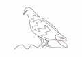 Dove or pigeon bird continuous one line drawing minimalism style. Vector hand drawn sketch animal birds design