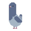 Dove pixel art isolated. pigeon 8 bit Royalty Free Stock Photo