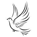 The dove silhouette is drawn in various lines of black color. Pigeon bird logo, peace symbol, tattoo Royalty Free Stock Photo