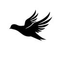 Dove black icon on white background. Pigeon silhouette Royalty Free Stock Photo