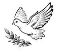 Dove sketch hand drawn Vector illustration