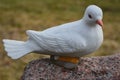 Dove Statue Sitting on a Stone