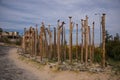 Dove statues on the sticks near entrance to Pigeon valley, beautiful canyon in Cappadocia,Turkey