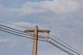 A dove stood atop an electric pole. Behind a bright blue sky in the national park of Thailand Khao Yai National Park. Outdoor a