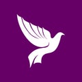 The dove is a symbol of the Holy Spirit