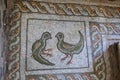 The Dove: symbol of the Holy Spirit that appeared at the baptism of Jesus in Jordan river