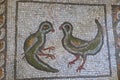 The Dove: symbol of the Holy Spirit that appeared at the baptism of Jesus in Jordan river