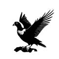 Stylized dove closeup. Also good for tattoo. Editable vector monochrome image with high details isolated on white