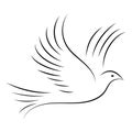 Dove symbol peace on the planet, hand drawn strokes, soaring bird logo