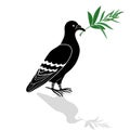 Dove ( turtle dove) with olive branch isolated on a white background vector tattoo peace Royalty Free Stock Photo