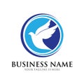 Dove vector logo design symbol of peace and humanity Royalty Free Stock Photo