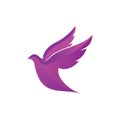 Dove vector logo design symbol of peace and humanity Royalty Free Stock Photo