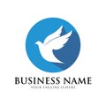 Dove vector logo design symbol of peace and humanity Royalty Free Stock Photo