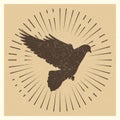 Dove vintage vector pigeon