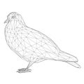 Dove wireframe from black lines isolated on white background. 3D. Vector illustration Royalty Free Stock Photo