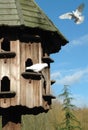 Dovecote