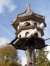 Dovecote at Killerton Court