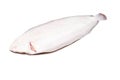 Dover sole fish whole Royalty Free Stock Photo